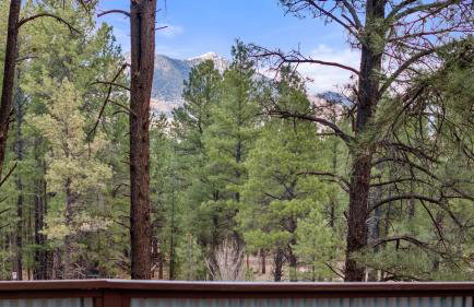 The Cozy Cottage - Foto 38