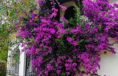 Blue Dandelion - Photo 27