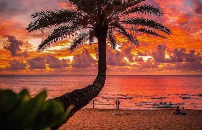 Villa Blue Water Hikkaduwa - Foto 43