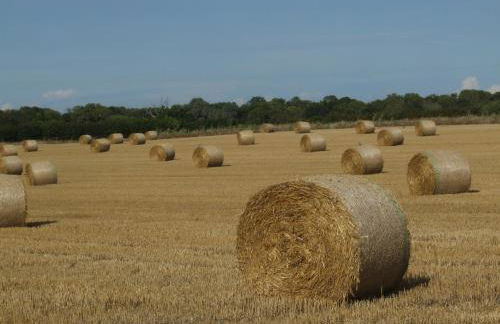 Charming Woodland Lodge 2 person 1 bedroom - Foto 35