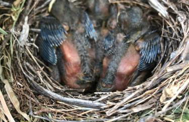 Posada del Moral - Photo 8