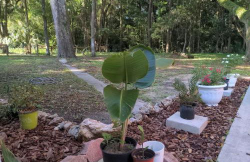 Micanopy Countyline Cottages - Foto 17
