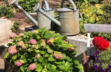 Le Kesbel entre Strasbourg et Colmar en centre Alsace - Foto 19