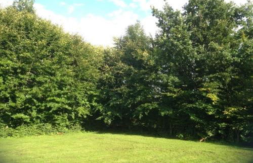 Schleiglanz - Foto 21