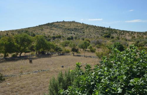 Apartman Marija - Photo 75