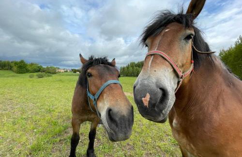 GLAMP GLAMOUR***** - Foto 47