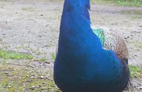 Gîte Le Lodigo - Foto 11