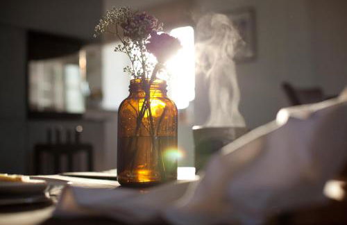 Tede Warft Freistehend am Deich mit Sauna - Foto 12