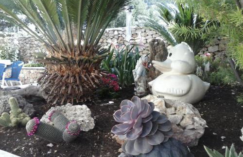 Apartments Borovina - Foto 25