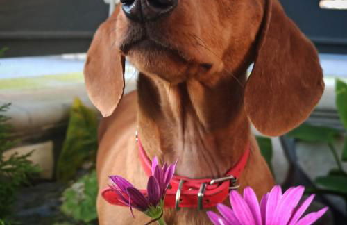 E s s e n t i a l Pompei - Foto 34