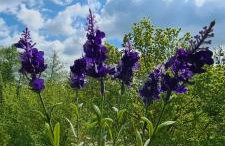 Mieszkanie nad Iławką - 2 pokoje, kuchnia, łazienka, balkon, parking, wi-fi - Foto 10