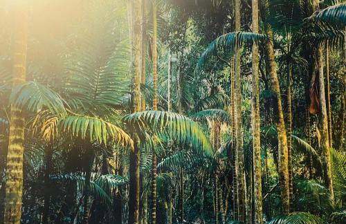 MXP Relax House - Photo 14