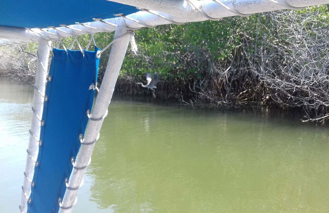 Potosí Lagoon Boat Trip & Horse Riding - Photo 5