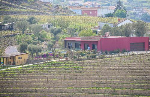 Quinta dos Padrinhos - Suites in the Heart of the Douro - Foto 36