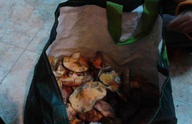 Casa Rural Las Barricas - Foto 45