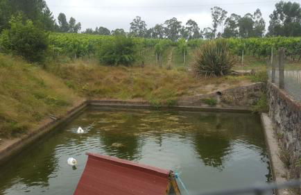 Quinta d'Areda Wine&Pool Experience - Foto 72