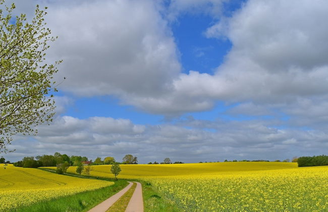 Apartment Near Wismar Baltic Sea Beaches - Photo 25
