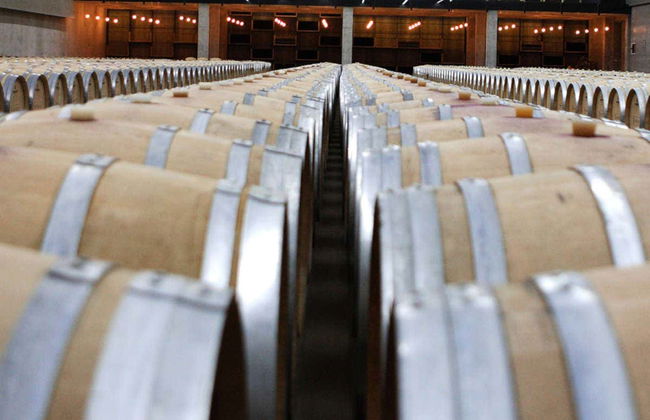 Visite des caves à vin de Buezo - Photo 2