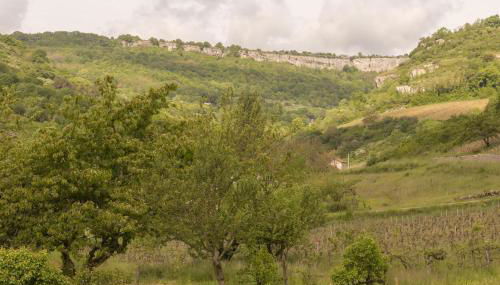 Maison Picard - Foto 3