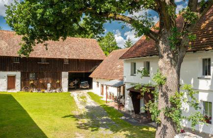 Dom Pod Dębem Agroturystyka - Foto 5