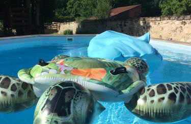 La petite Brainoise - Gîte avec salle jacuzzi 120 jets - Foto 46