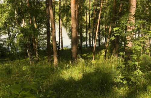 Noclegi & Przystań Marina - Agrokeya Chorzępowo - Foto 31