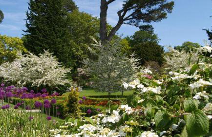 VICTORIA 24 - Foto 20