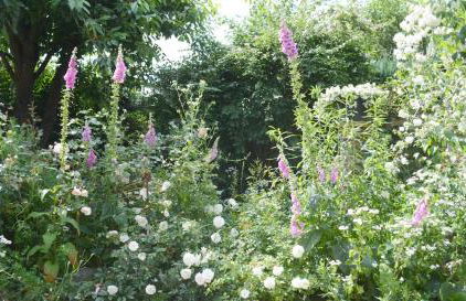 Ferienwohnung Fleur de Lys Urlaub auf Anfrage mit Hund - Foto 16