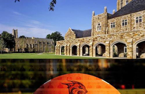 Cozy Delightful Private Studio near Rhodes College, Shuttle, & Vehicle Rental - Foto 34