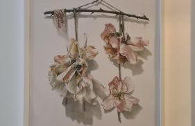 Apartament Dębowe Zacisze Tużycka - Foto 15