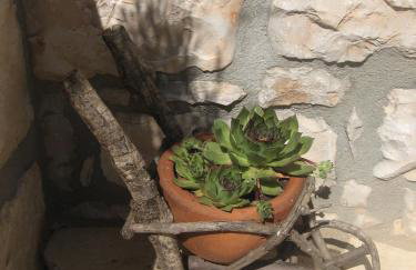 Apartment Baladur - Foto 38