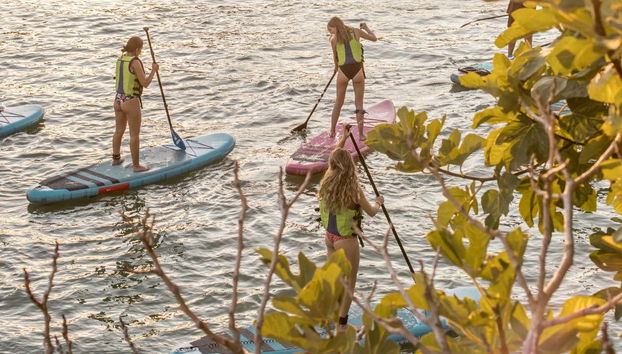 Disfrutando del alquiler del equipo de paddle surf
