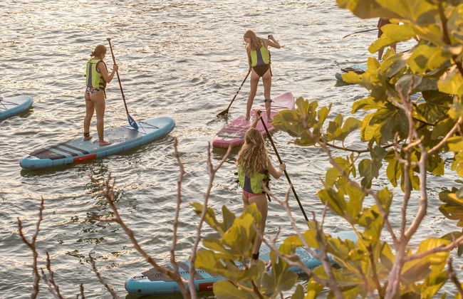 Alquiler de equipo de paddle surf en Sevilla - Foto 2