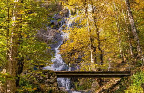 Altes Forsthaus - Fewo "Hasenhorn", mit privater Sauna, Todtnau- Feldberg - Foto 37