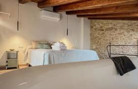 Mas Tulsà Casa Rural Girona - Foto 23