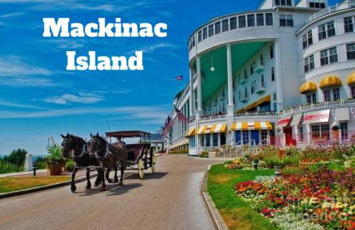 Petoskey Falls Escape-Hot Tub/Dogs/Petoskey/Boyne - Photo 64