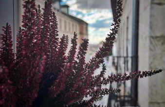 Casa de las Lías - Foto 34