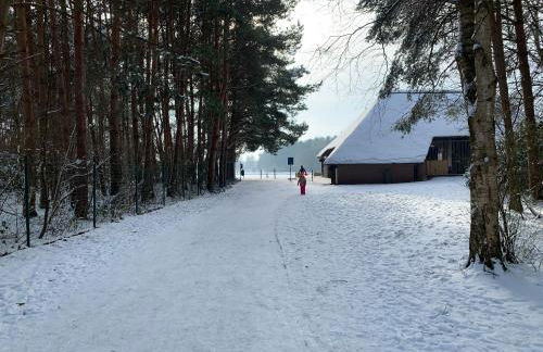 Ferienwohnung -Kiek rin- Wiesmoor Ostfriesland - Foto 15