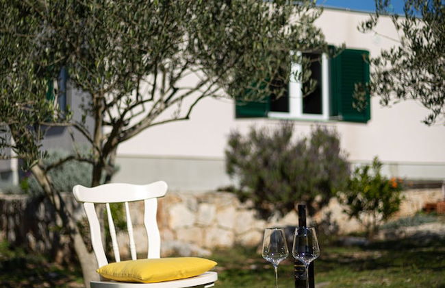 Olive Eden - Foto 47