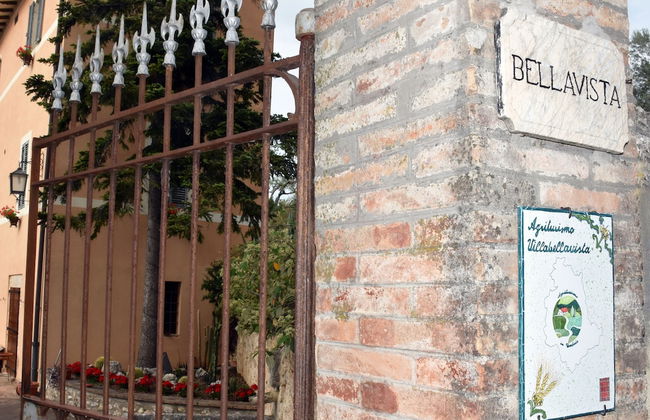 Agriturismo Villino Bellavista - Photo 10