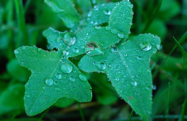 Agriturismo Walden - Photo 20