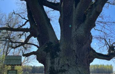 Brzozowe zacisze - Foto 38