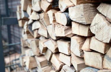 Idyllisches Häuschen im Grünen - Foto 8