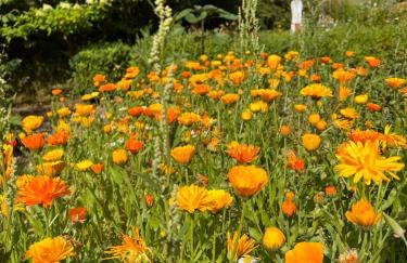 Ferienhaus Buren-Hof - Foto 27
