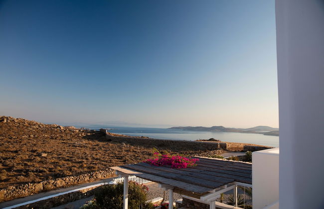 Little Blue - Foto 16