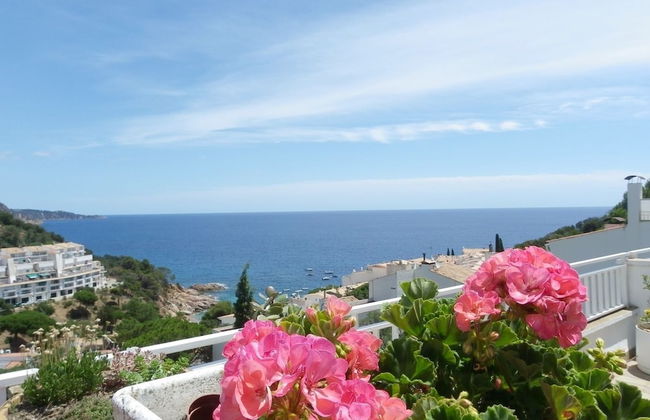 Danlux Roma - Foto 12