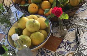 Mare Nostrum TF - Foto 30