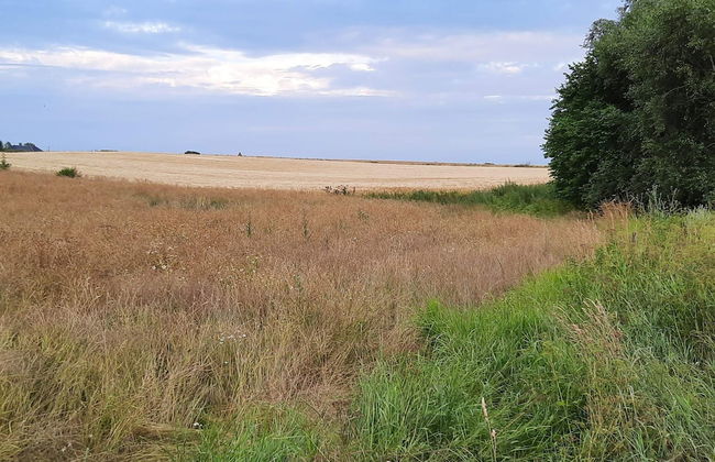 6 Person Holiday Home in Taastrup - Photo 23