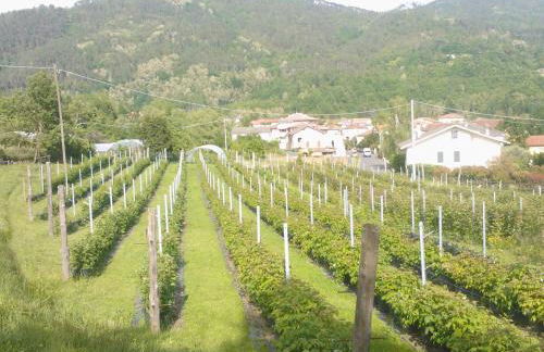 Agriturismo Tenuta Valletti. - Foto 65