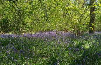 Happy Day -Walk to Warwick Uni & Cannon Park in Coventry that offers free parking 溫馨小居 - Foto 53